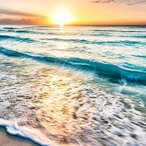 Meet your Posher, Meghan